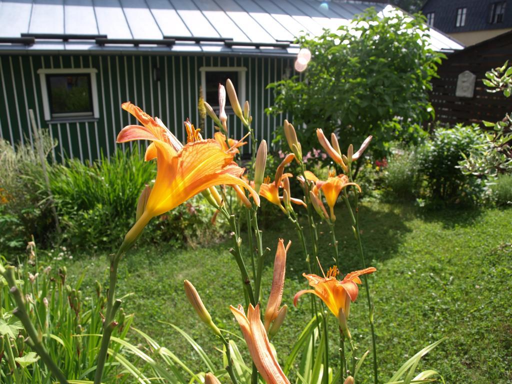 Guest House Luft Sneznik Buitenkant foto
